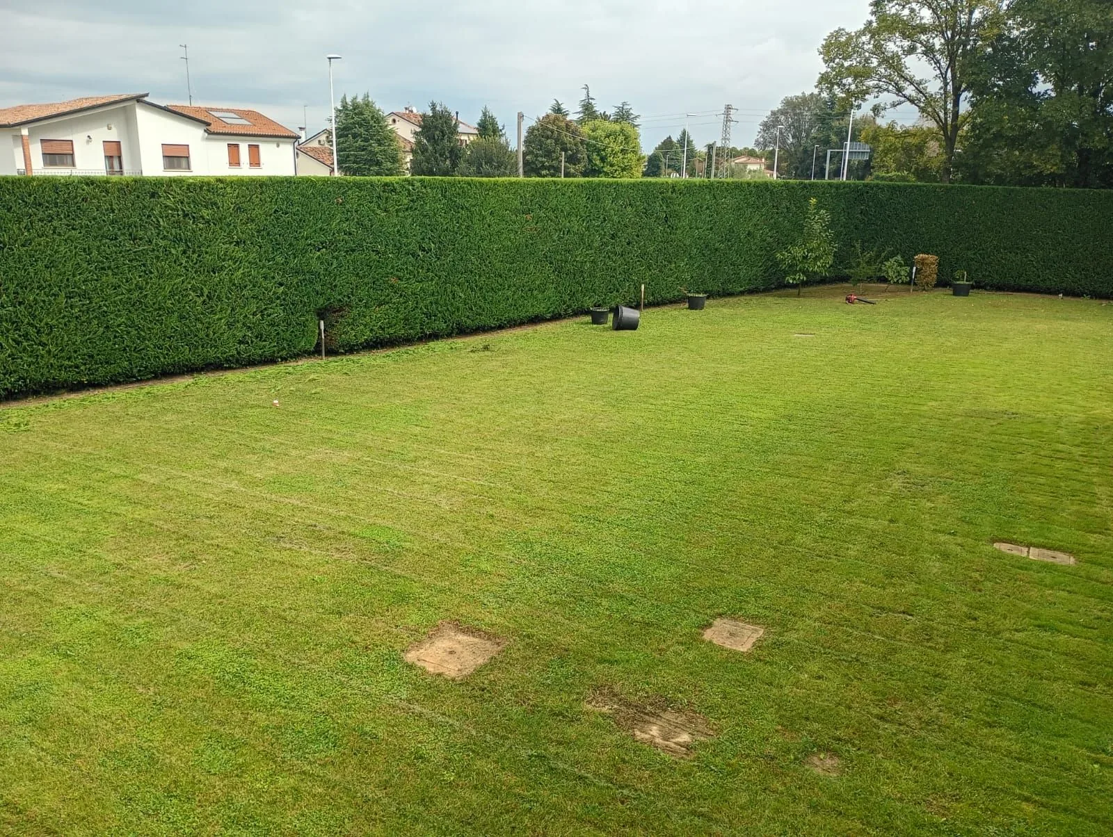 Lavoro di Perfect Garden: prato e siepe perimetrale