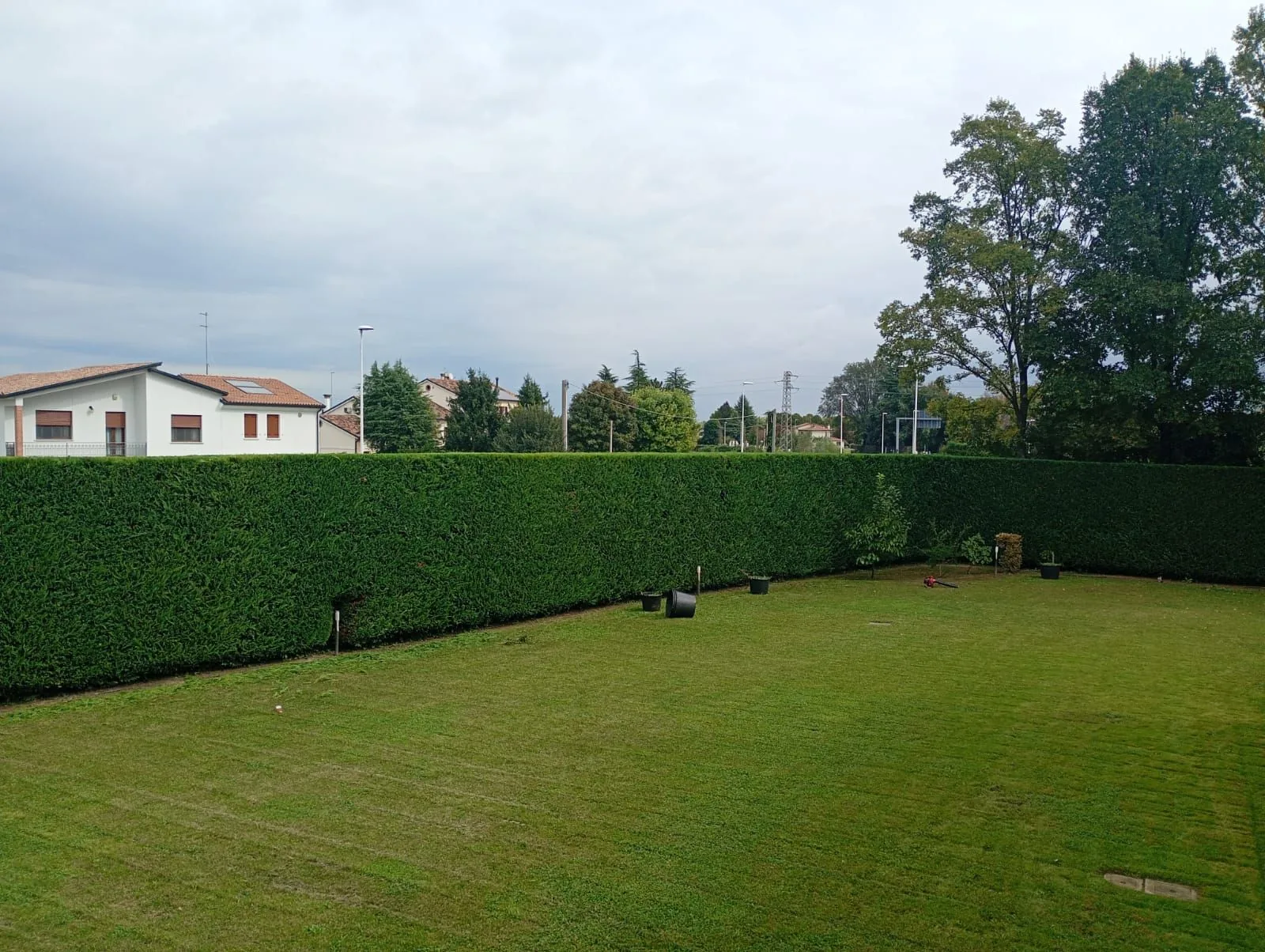 Lavoro di Perfect Garden: giardino dopo il taglio