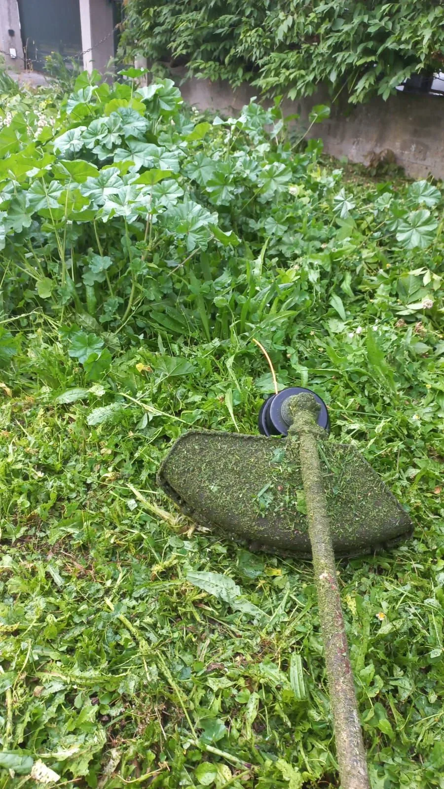 Lavoro di Perfect Garden: sfalcio