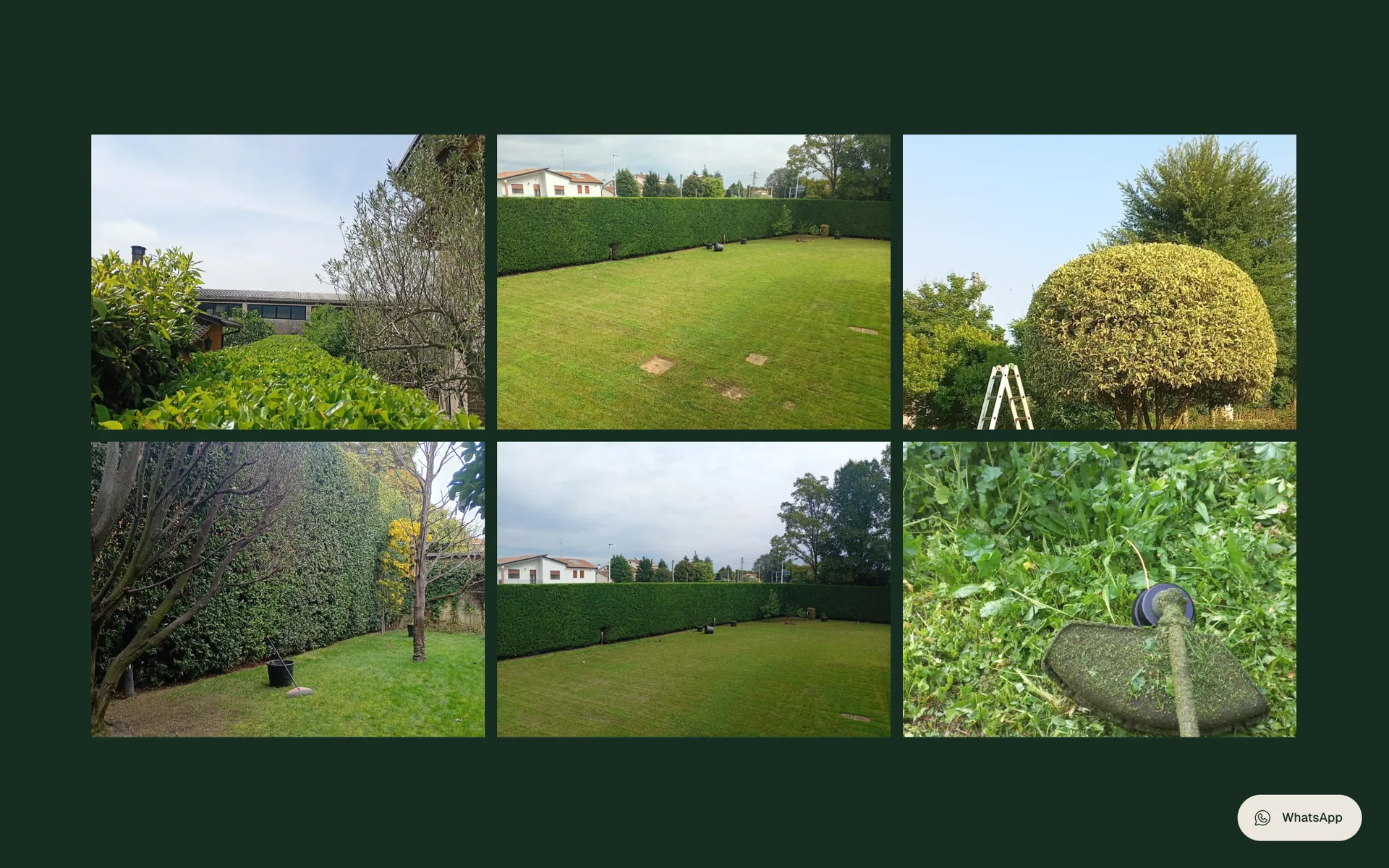 Schermata reale di Perfect Garden